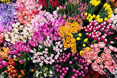 《无主之地》开发商上海工作室更名 将积极寻求本地合作